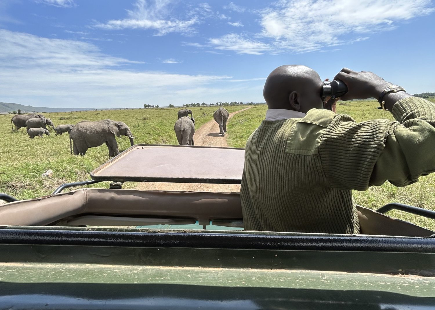 Safari and Travel