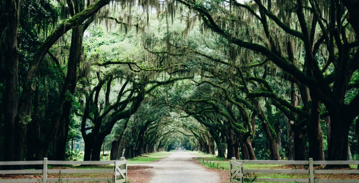 Savannah streets