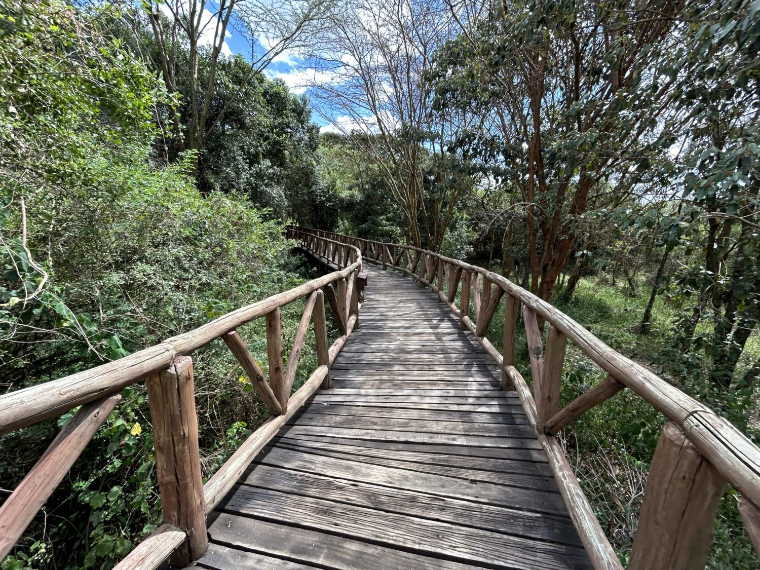 A wooden bridge